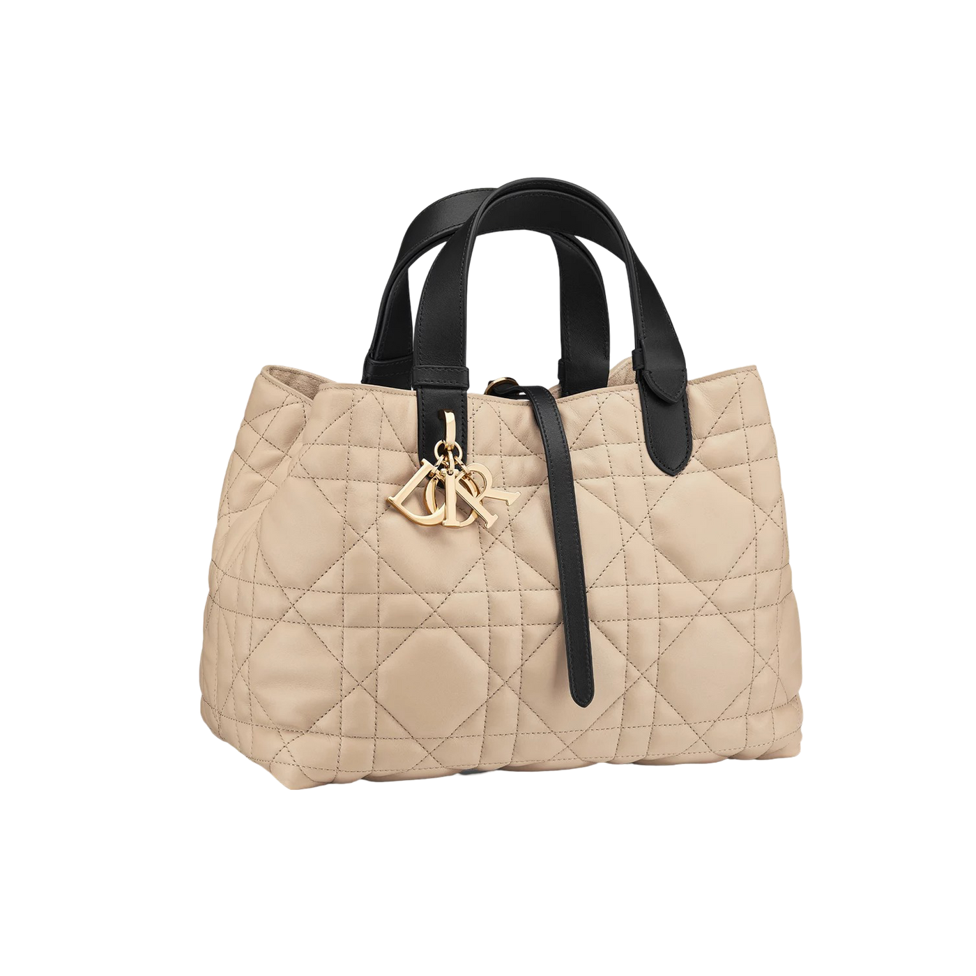 Dior Tojours Medium