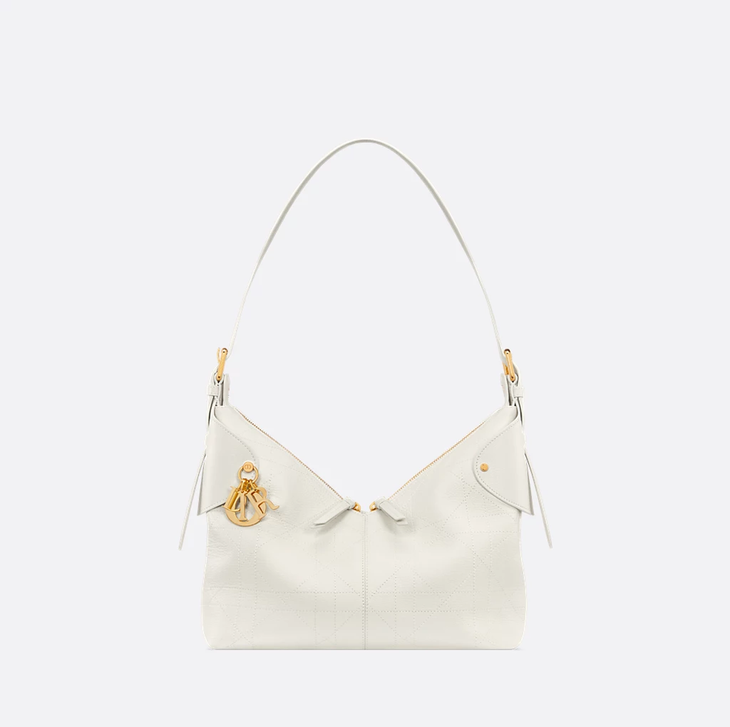 Dior Voyage Bag