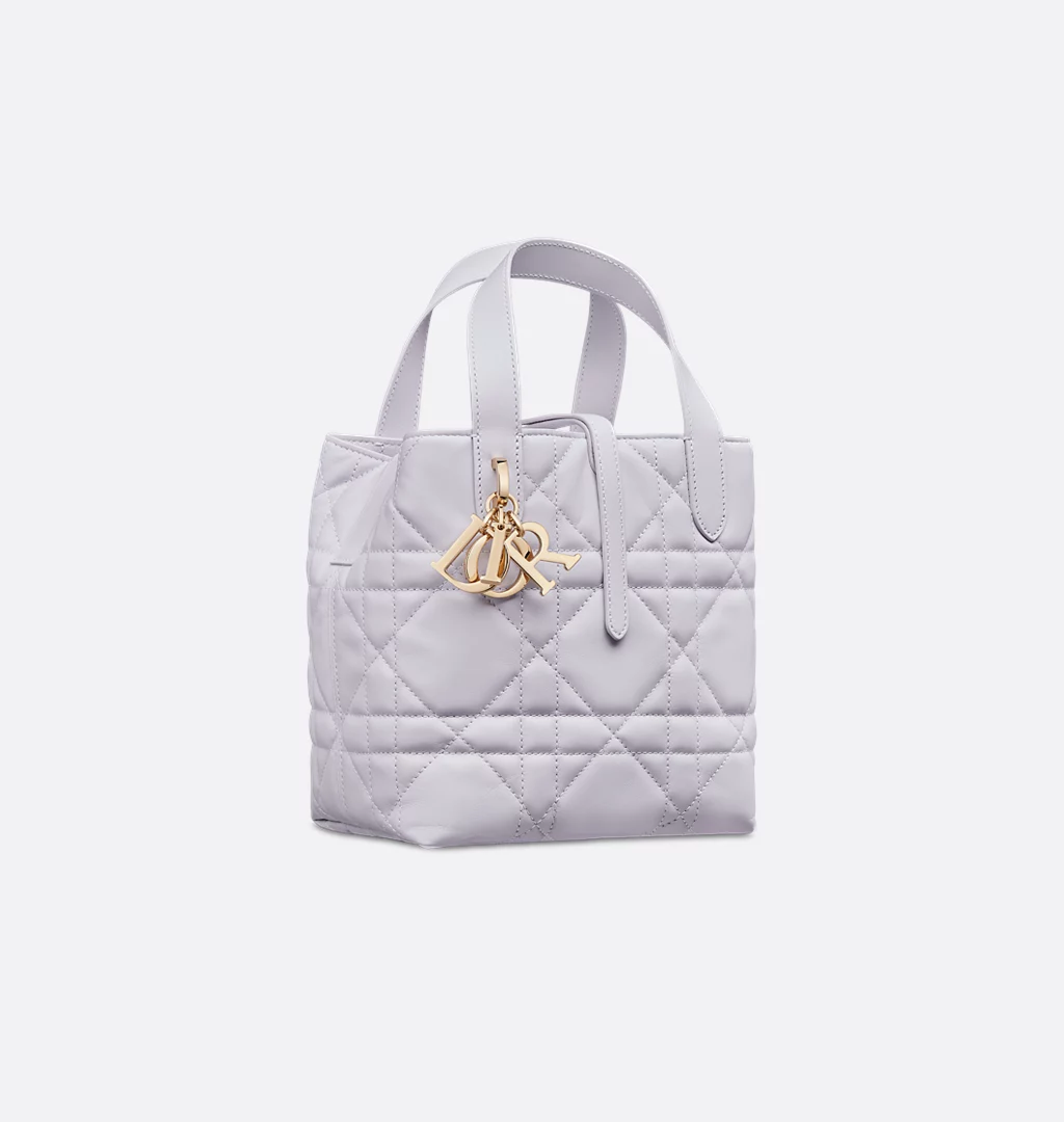 Dior Toujours Vertical Tote Bag